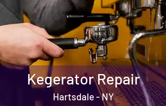  Kegerator Repair Hartsdale - NY