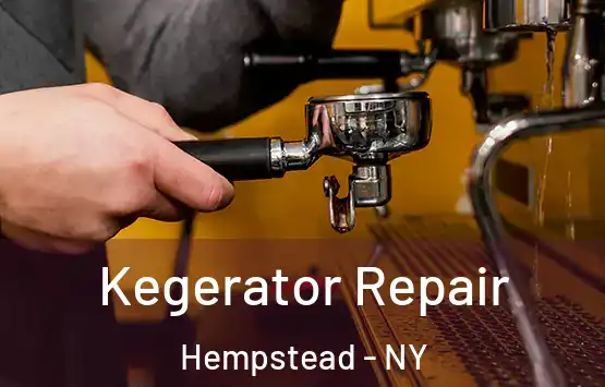  Kegerator Repair Hempstead - NY
