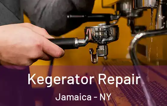  Kegerator Repair Jamaica - NY