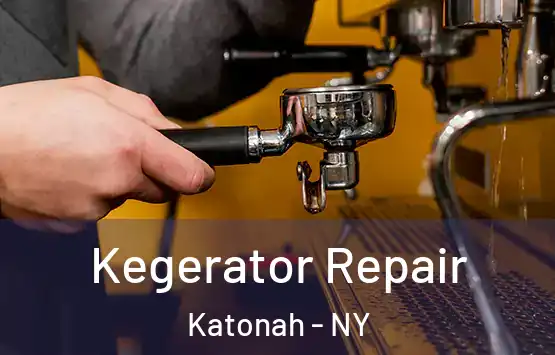  Kegerator Repair Katonah - NY