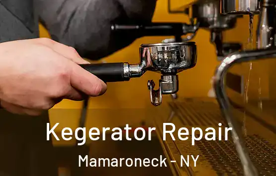  Kegerator Repair Mamaroneck - NY