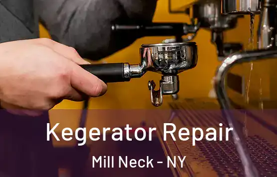  Kegerator Repair Mill Neck - NY