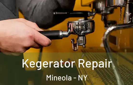  Kegerator Repair Mineola - NY