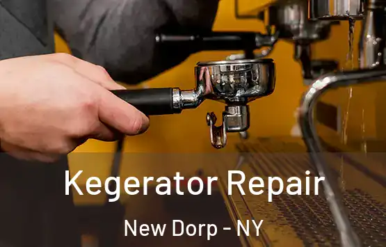  Kegerator Repair New Dorp - NY
