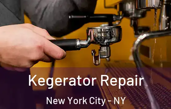  Kegerator Repair New York City - NY