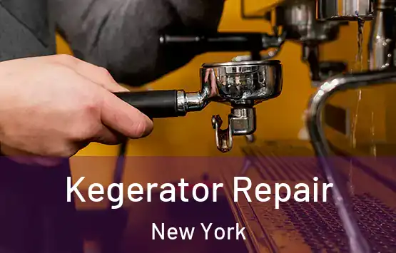  Kegerator Repair New York