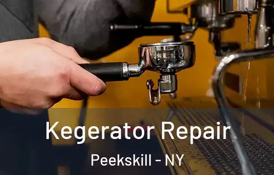  Kegerator Repair Peekskill - NY