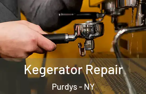  Kegerator Repair Purdys - NY