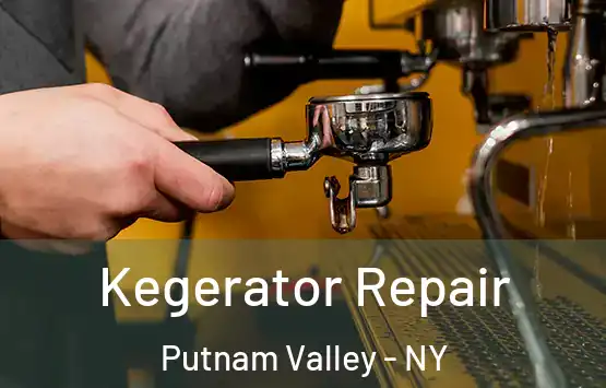  Kegerator Repair Putnam Valley - NY
