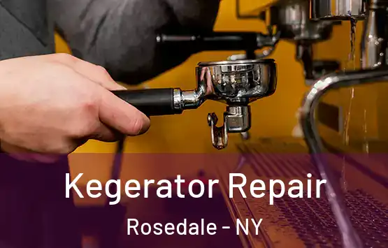  Kegerator Repair Rosedale - NY