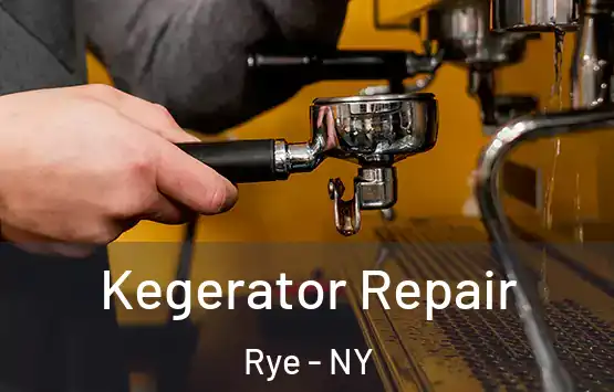  Kegerator Repair Rye - NY