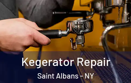  Kegerator Repair Saint Albans - NY