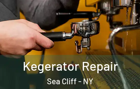  Kegerator Repair Sea Cliff - NY