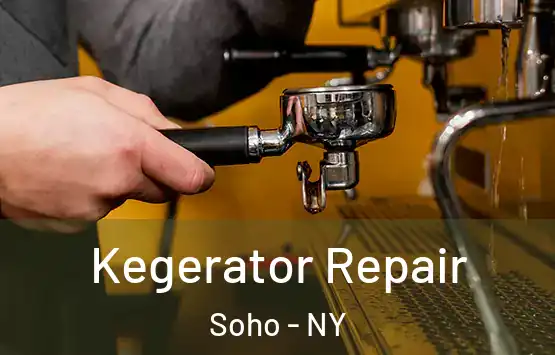  Kegerator Repair Soho - NY