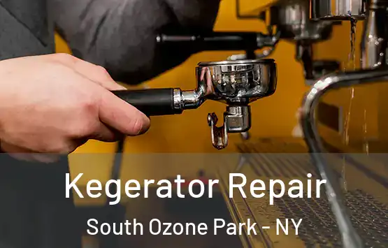  Kegerator Repair South Ozone Park - NY