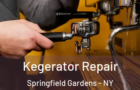  Kegerator Repair Springfield Gardens - NY