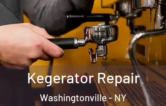  Kegerator Repair Washingtonville - NY