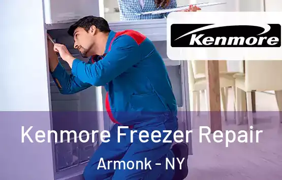  Kenmore Freezer Repair Armonk - NY