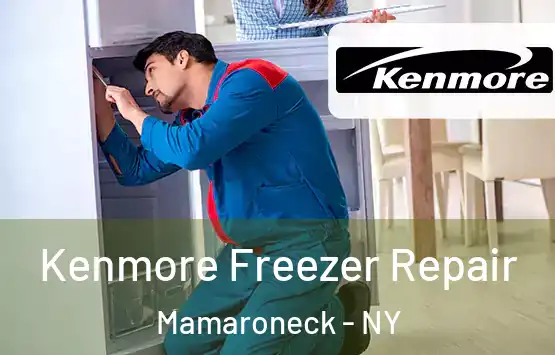  Kenmore Freezer Repair Mamaroneck - NY