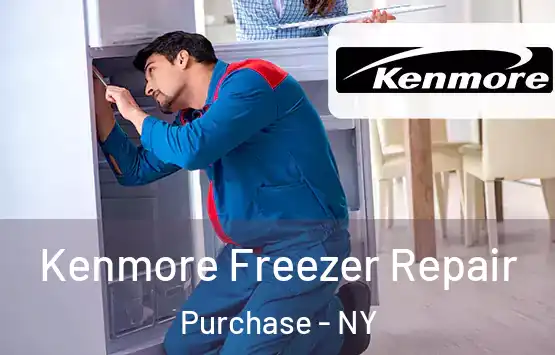  Kenmore Freezer Repair Purchase - NY