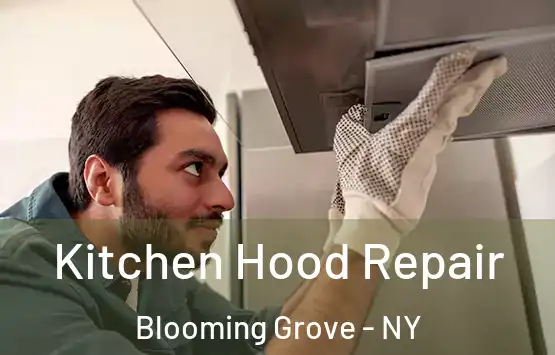  Kitchen Hood Repair Blooming Grove - NY