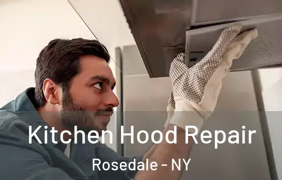  Kitchen Hood Repair Rosedale - NY