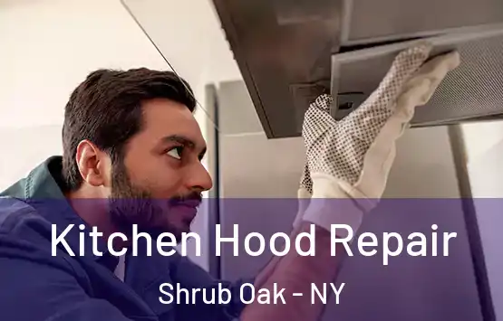  Kitchen Hood Repair Shrub Oak - NY