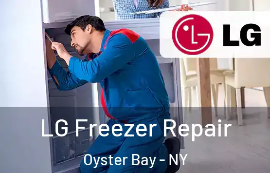  LG Freezer Repair Oyster Bay - NY