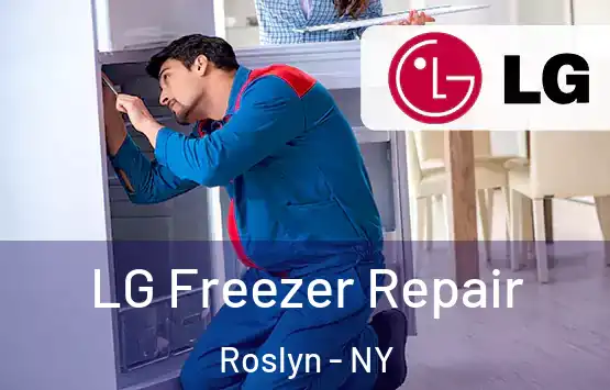  LG Freezer Repair Roslyn - NY