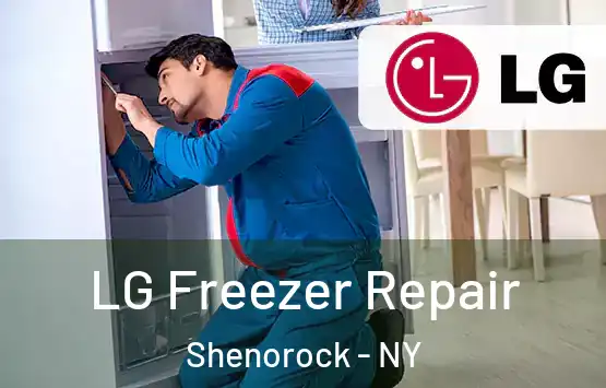 LG Freezer Repair Shenorock - NY