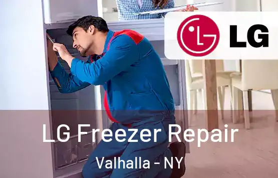  LG Freezer Repair Valhalla - NY