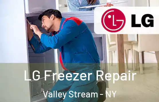 LG Freezer Repair Valley Stream - NY