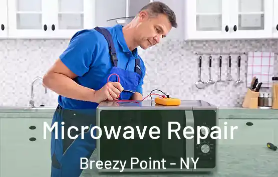  Microwave Repair Breezy Point - NY