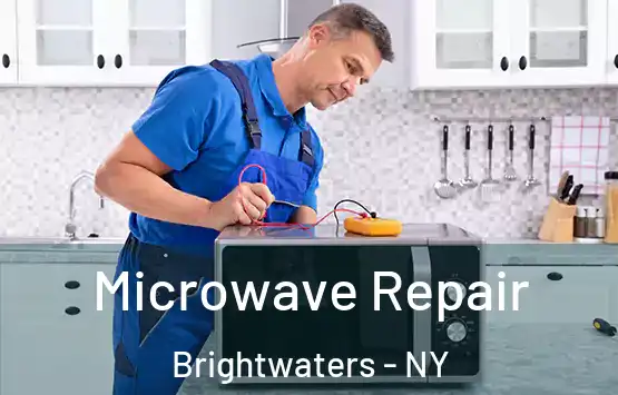  Microwave Repair Brightwaters - NY