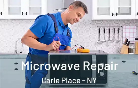  Microwave Repair Carle Place - NY