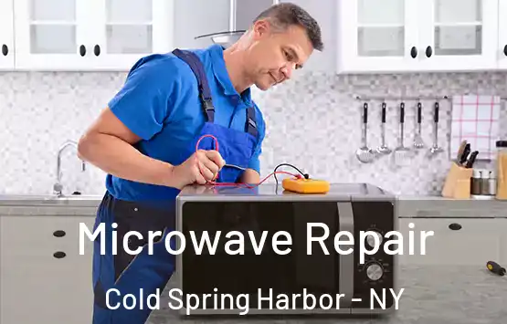  Microwave Repair Cold Spring Harbor - NY