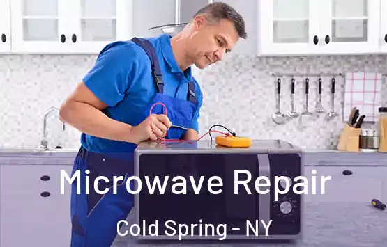  Microwave Repair Cold Spring - NY