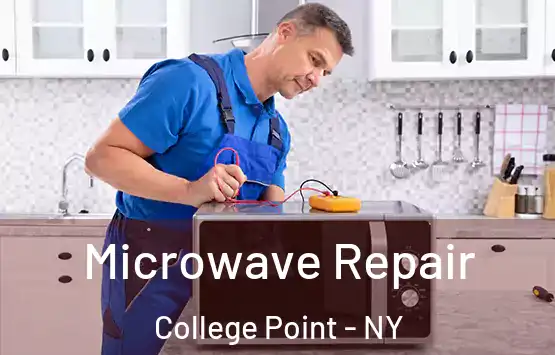  Microwave Repair College Point - NY