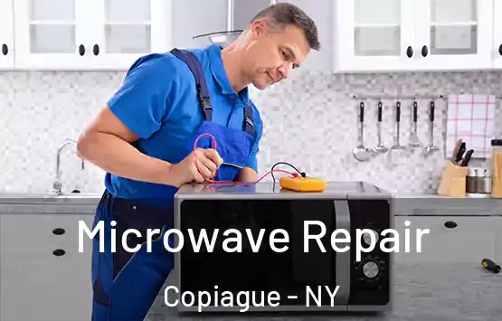  Microwave Repair Copiague - NY