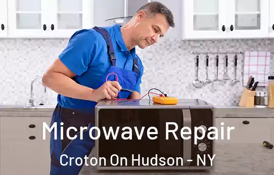  Microwave Repair Croton On Hudson - NY