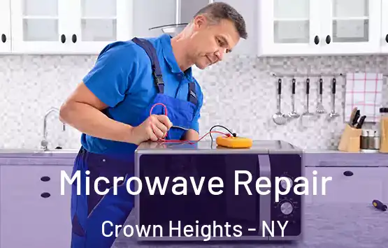  Microwave Repair Crown Heights - NY