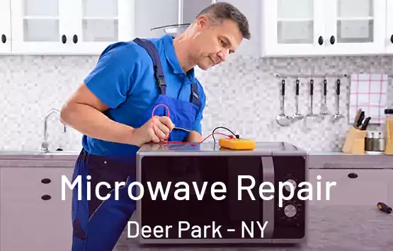  Microwave Repair Deer Park - NY