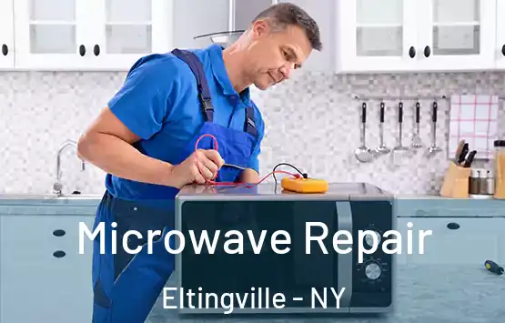  Microwave Repair Eltingville - NY