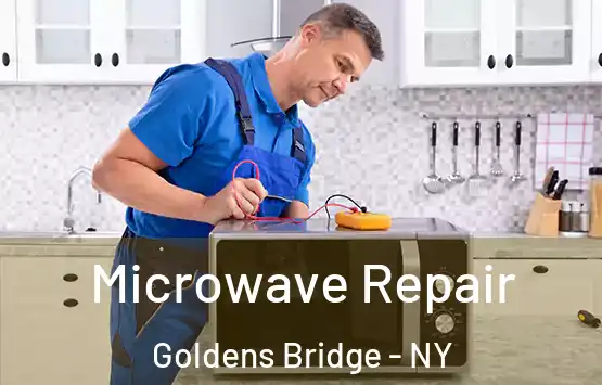  Microwave Repair Goldens Bridge - NY