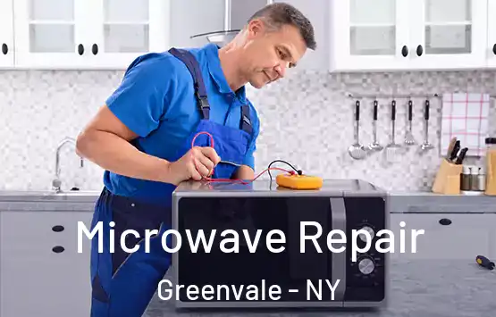  Microwave Repair Greenvale - NY