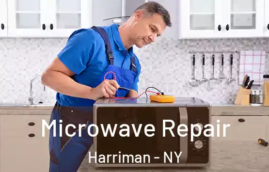  Microwave Repair Harriman - NY