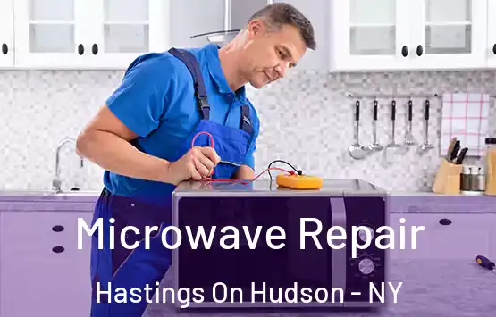  Microwave Repair Hastings On Hudson - NY