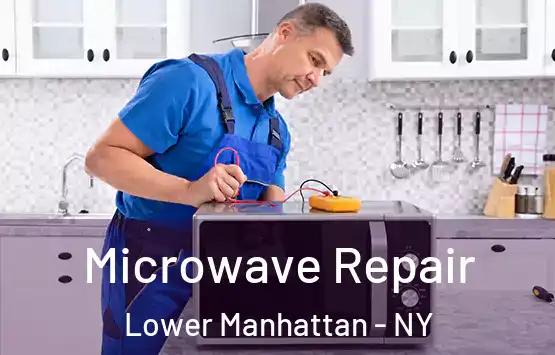  Microwave Repair Lower Manhattan - NY