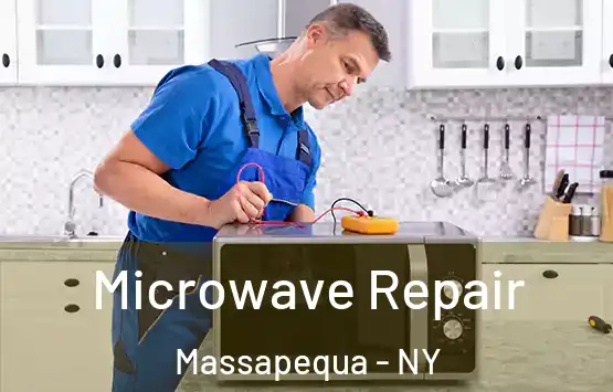  Microwave Repair Massapequa - NY