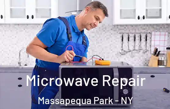  Microwave Repair Massapequa Park - NY